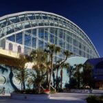 Florida Aquarium Directory: Your Guide to the Deep Blue Wonder