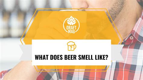 What Does Beer Smell Like?
