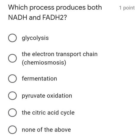 Which Process Produces Both NADH and FADH2?