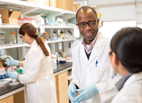 Wash U Jobs STL: Explore a World of Opportunities in the Heart of St. Louis