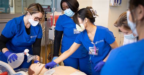 Bellevue College Careers: Embark on a Journey of Professional Fulfillment Table 1: Bellevue College Career Programs by Department Table 2: Bellevue College Job Placement Rates by Program Table 3: Bellevue College Median Starting Salaries by Program Table 4: Bellevue College Tuition Costs by Program