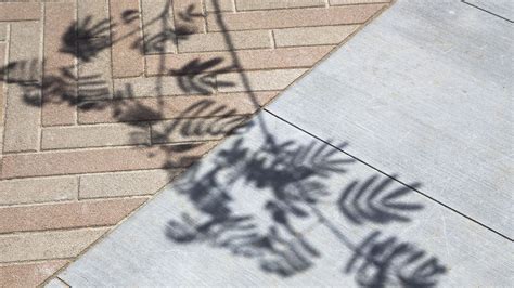 CSULB Liberal Arts: Embracing Knowledge, Transforming Lives Discover a World of Knowledge Transformative Education Statistics and Success New Applications Useful Tables Effective Strategies Tips and Tricks Common Mistakes to Avoid Conclusion: