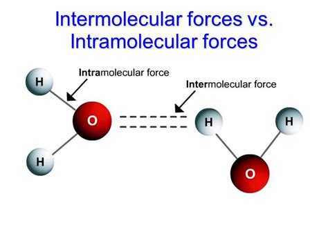 Unveiling the Realm of Intermolecular Forces: A Comprehensive Guide