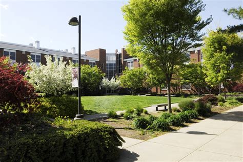 Adelphi University: South Avenue, Garden City, NY: A Comprehensive Guide Innovative Approaches to Facilitate Learning Tips for Prospective Students