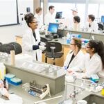 The Best Biology Undergraduate Universities for Aspiring Scientists