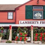 Christmas Tree Shops in Hyannis: A Guide to Holiday Decor and More Tables