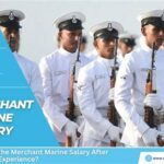 Merchant Marine Salaries: Exploring Lucrative Career Paths on the High Seas