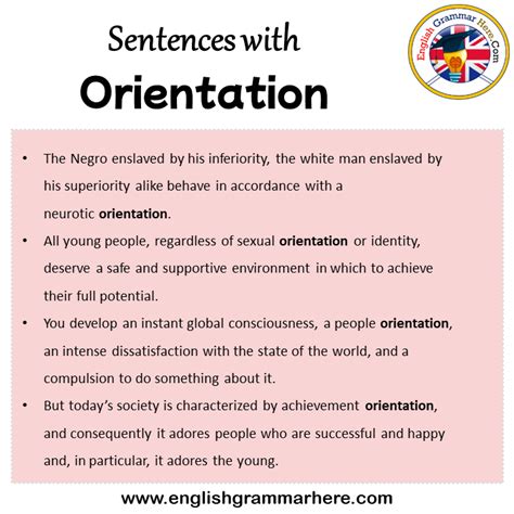 Which Sentence Describes the Purpose of a Pre-Orientation Meeting?