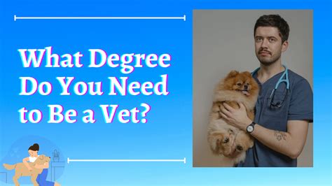 What Major Do You Need to Be a Veterinarian?