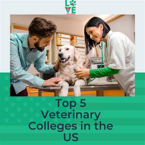 Best Colleges for Exotic Vets: