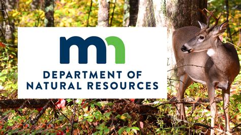 The Comprehensive Guide to Minnesota DNR Employment: Unleash a Meaningful Career in Nature Conservation