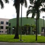 Florida Atlantic University Demographics: Unveiling the Student Body Profile