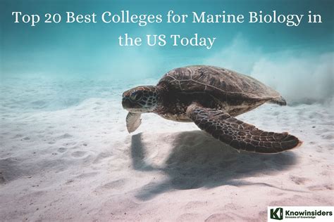Colleges with the Best Marine Biology Programs How to Choose the Best Marine Biology Program for You The Future of Marine Biology