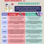 Delving into the Distinctions: Sociology vs. Psychology