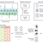 Myo Match: Decoding the Genetic Interface to Human Muscles