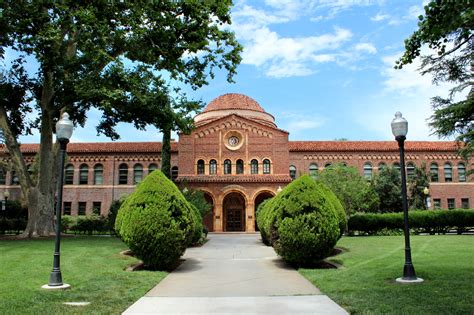 California State University, Chico: A Niche University with a Unique Identity Unparalleled Sustainability Initiatives Fostering Entrepreneurship and Innovation Championing Social Justice Key Niche Characteristics Table 1: Chico State by the Numbers Effective Strategies for Students Common Mistakes to Avoid Pros and Cons of Attending Chico State Discovery: A New Word for Inspiration Table 2: Sustainability Initiatives at Chico State Table 3: Entrepreneurship Resources at Chico State Table 4: Social Justice Initiatives at Chico State