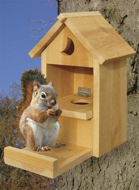 Chipmunk Proof Bird Feeders: Outsmart Nature’s Sneaky Snatchers