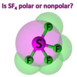 Polar or Nonpolar SF4: A Comprehensive Analysis Key Applications of SF4 Benefits of SF4 Drawbacks of SF4 Alternatives to SF4 Tables