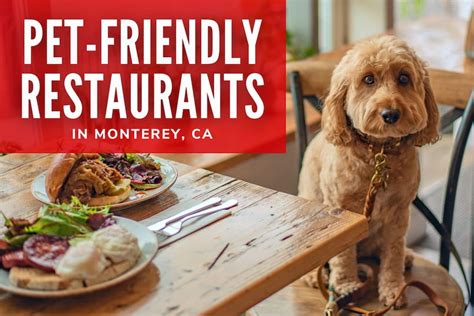 Dog-Friendly Dining Delights in Long Beach, CA