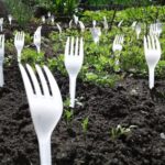 Forks in the Yard: A Quirky Garden Accessory with Surprising Benefits