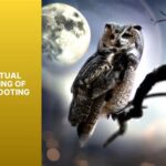 Spiritual Meaning of Owl Hooting: Unveiling the Ancient Wisdom Owl Hooting and Personal Transformation Owl Hooting by Species Common Mistakes to Avoid Why Owl Hooting Matters Conclusion