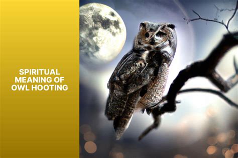Spiritual Meaning of Owl Hooting: Unveiling the Ancient Wisdom Owl Hooting and Personal Transformation Owl Hooting by Species Common Mistakes to Avoid Why Owl Hooting Matters Conclusion