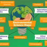 Environmental Science Jobs: Entry Level Opportunities for a Greener Future