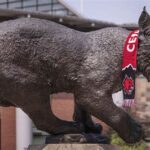 Central Washington University’s Wildcat Mascot: A Symbol of Pride and Spirit