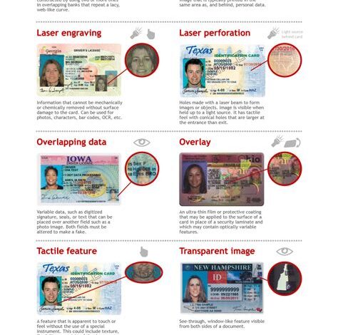 Target Fake IDs: A Comprehensive Guide to Identification Fraud