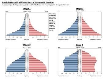 Population Pyramid: A Comprehensive Definition in AP Human Geography