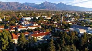 PPE Pomona College: A Comprehensive Guide to the Major