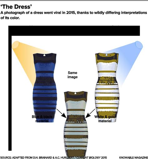Is My Blue Your Blue? The Science Behind Color Perception