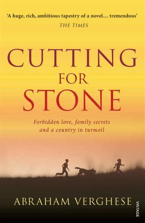 Cutting for Stone Summary