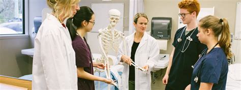 Navy Nursing Program: Your Path to a Rewarding Career in Healthcare