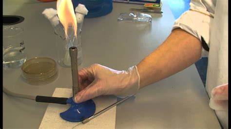 This Technique Is Used Less in Biology, but It Has Enormous Potential