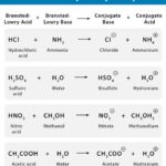 Which of the following shows a Brønsted-Lowry Acid Reacting? Common Mistakes to Avoid