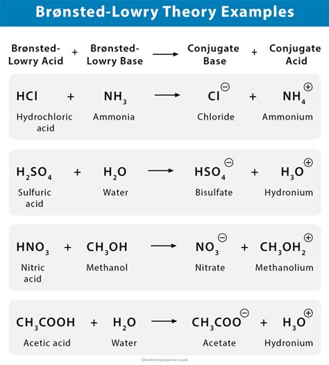 Which of the following shows a Brønsted-Lowry Acid Reacting? Common Mistakes to Avoid