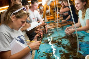 Drexel Marine Biology Class: An Immersive Exploration of the Ocean Key Highlights of the Drexel Marine Biology Class Benefits of Enrolling in Drexel’s Marine Biology Class Tips and Tricks for a Successful Experience Pros and Cons of the Drexel Marine Biology Class Frequently Asked Questions