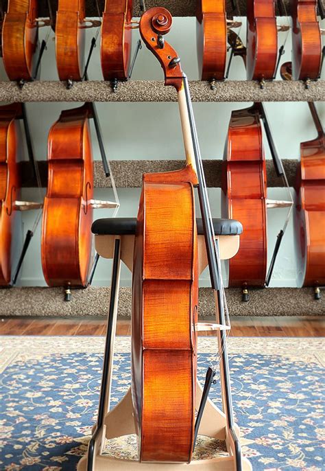Top Notch Violins LLC: Crafting Exquisite Instruments for Discerning Musicians