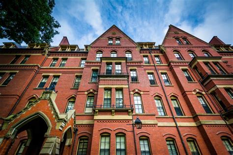 Matthews Hall: A Historic Harvard Residence with a Modern Twist