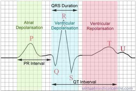 Adult 3 Critical Care Quizlet