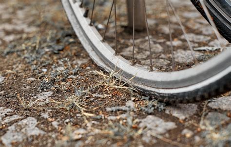Tire Slowly Losing Air: Everything You Need to Know