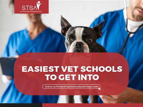 Easiest Vet Schools to Get Into: A Comprehensive Guide