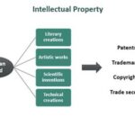 Intellectual Property Legal Internships: An Immersive Pathway into the Dynamic World of IP Law