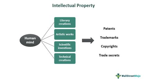 Intellectual Property Legal Internships: An Immersive Pathway into the Dynamic World of IP Law