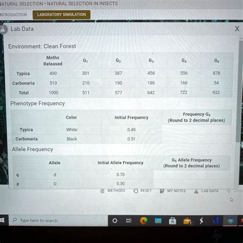 Calculate Phenotype Frequencies in 5th Generation: Record in Lab Data