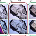 NH4+: Acid or Base?