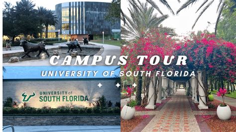 University of South Florida Tours: A Comprehensive Journey Through Campus Life