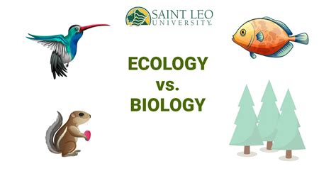 Ecologist vs Biologist: Embarking on the Path to Environmental Stewardship