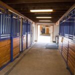 Eagle Fern Equine Hospital: Unparalleled Care for Your Equine Companions